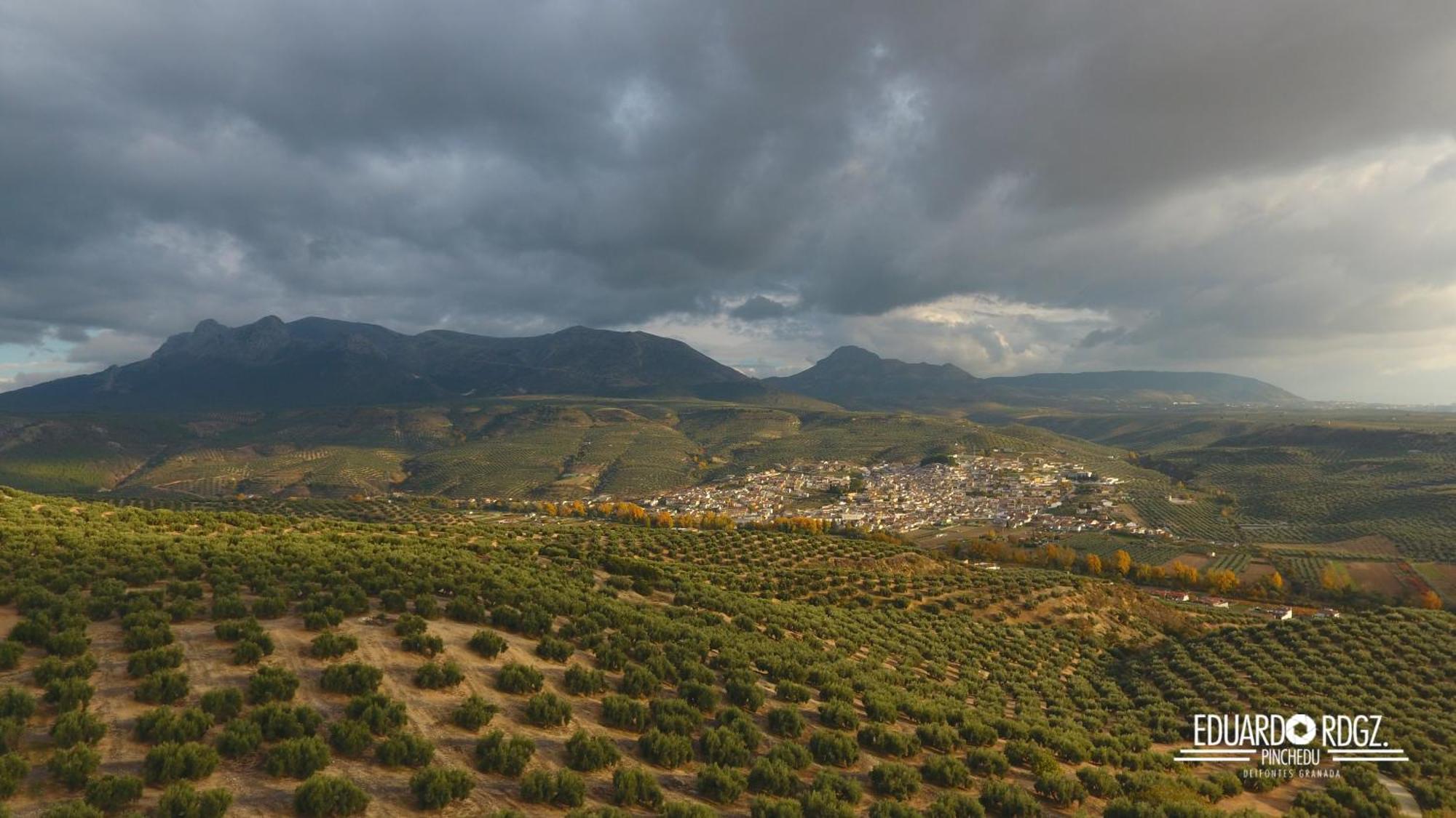 Alojamiento Rural Caserio De La Fuente Deifontes 外观 照片